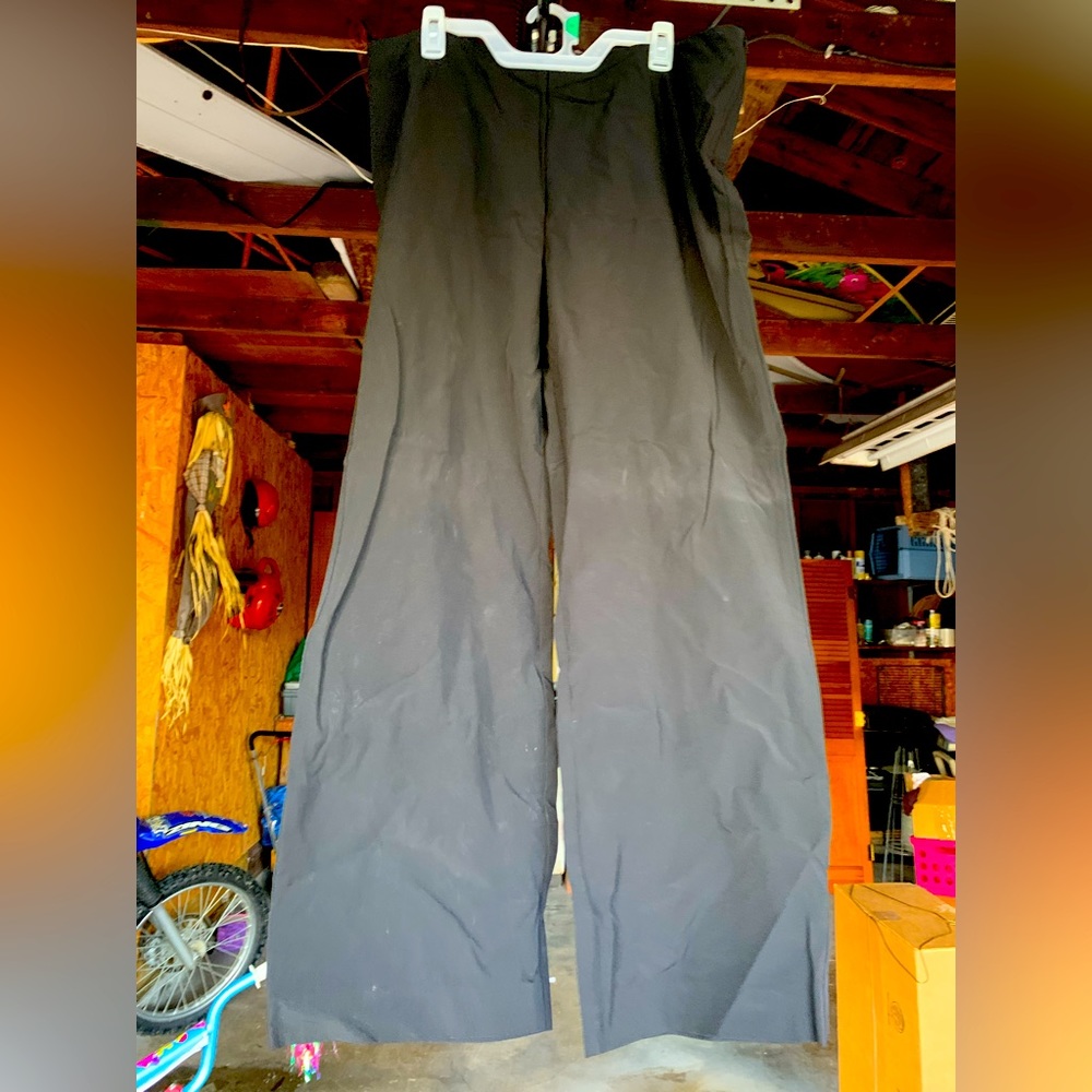 Dress pants